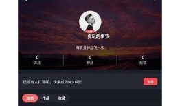 糖心Vlog安卓APP官网：记录生活点滴，分享精彩瞬间！