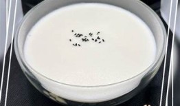 糖心小饼干：甜蜜爱情与温馨生活交织的成长故事