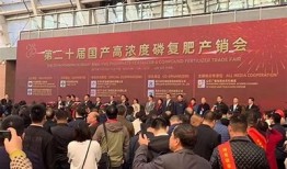 谁有糖心视频？分享最新在线观看链接与资源
