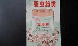 探索国产糖心塔塔的魅力：甜蜜口感与健康选择的完美结合