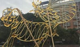 糖心刮刮：甜蜜爱情与温暖成长的小说在线阅读