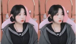 “小桃不惊醒障碍：糖心VLO的趣味在线体验”