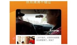txvlog糖心柚子猫在线，带你探索萌宠日常与甜蜜生活