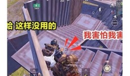 糖心在线二区乐趣无穷，让你畅享甜蜜生活新体验