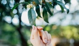 糖心相爱：甜蜜浪漫的爱情故事在线阅读