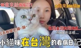 小晗喵糖心Vlog：日常生活分享与萌宠乐趣