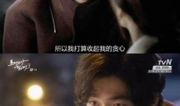 糖心柚子姐姐：甜蜜爱情与成长的小说在线阅读体验