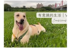 探索生活点滴：糖心Vlog带你体验每一天的美好