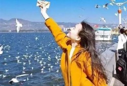 探索生活中的甜蜜瞬间：糖心Vlog精彩分享
