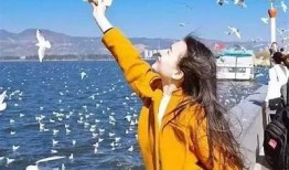 探索生活中的甜蜜瞬间：糖心Vlog精彩分享