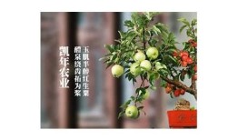 免费在线观看糖心在线观看平台，畅享精彩内容无障碍