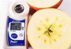 国产糖心苹果推广策略调查与市场前景探讨