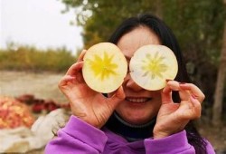 糖心iOS在线使用教程：快速上手与常见障碍解答