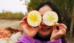 糖心iOS在线使用教程：快速上手与常见障碍解答