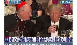 糖心两宝：温馨家庭与爱的成长故事在线阅读