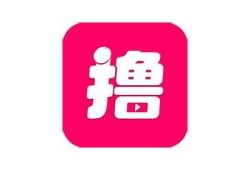 糖心资源在线网站：免费分享优质学习资料和实用工具的优选平台