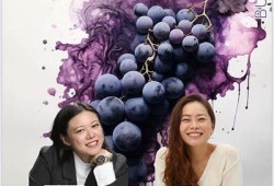 酒心糖在线阅读：潭石独有魅力与甜蜜享受