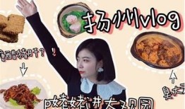 探索国产精品糖心vlog：观看特有创意与生活美学的完美结合