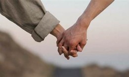 情书：糖心小说的动人故事在线完整版阅读