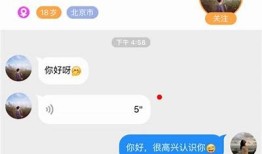 糖心视频APP免费下载：畅享精彩视频内容的最佳选择