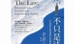 糖心在线：完整解析美国法律的相关知识与实用指南