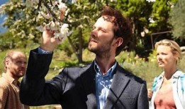 伊人糖心在线观看：浪漫爱情故事，全新视角感受甜蜜瞬间！
