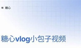 揭秘糖心Vlog：带你走进无与伦比的日常生活记录