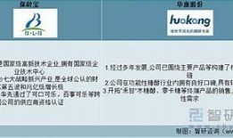 探索国产糖心导航：技术创新与使用前景研究