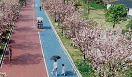 糖心Vlog传媒最新视频分享：探索生活中的美好瞬间