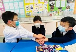 糖心社交日记：探索互动与情感的真实世界