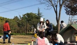 麻豆与糖心：精彩Vlog分享，带你领略生活点滴
