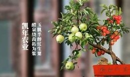 “精东视频糖心VLOG：分享生活点滴与美好时刻”