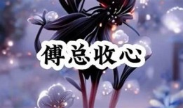 糖心十年在线阅读无弹窗，深度探索青春与成长的故事