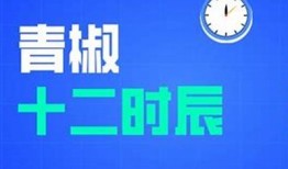 探索TXVLOG：糖心短视频网站的精彩瞬间与创作分享