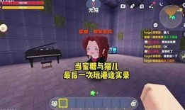 糖心猫先生在线：探索可爱猫咪的奇妙世界