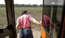 糖心兔子先生在线观看：甜蜜故事带你领略可爱世界！
