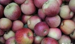探秘国产糖心苹果：美味与营养的完美结合