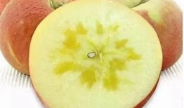 糖心苹果CCTV直播在线观看，精彩内容一手掌握