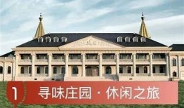 糖心Viog视频解析：品味特有葡萄酒的魅力与风味