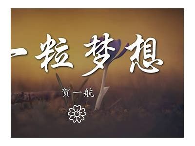 糖心看鸟：一部关于梦想与成长的小说在线阅读