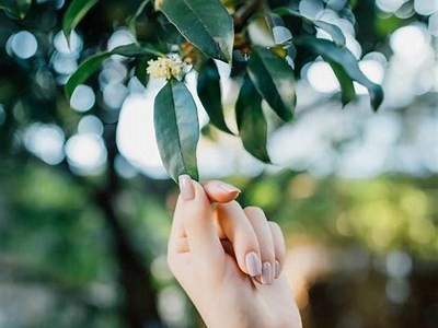 糖心相爱：甜蜜浪漫的爱情故事在线阅读