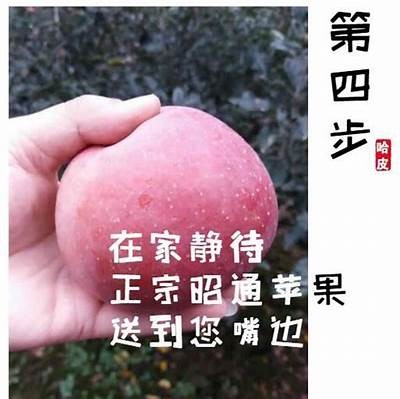 国产糖心苹果的营养价值与健康益处广泛解析