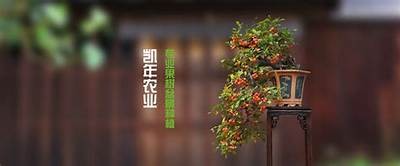 糖心在线视频app下载：畅享精彩视频，任何时候随地看不停