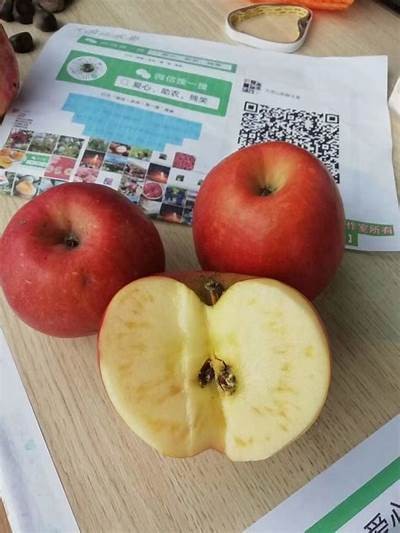 国产糖心苹果的促销策略及市场检视探讨