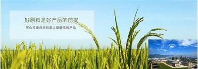 糖心Vlog：记录生活点滴，分享在线精彩瞬间