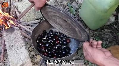 糖心果冻视频分享：美味果冻制作教程与品尝体验