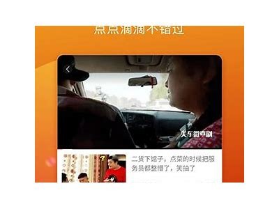 txvlog糖心柚子猫在线，带你探索萌宠日常与甜蜜生活