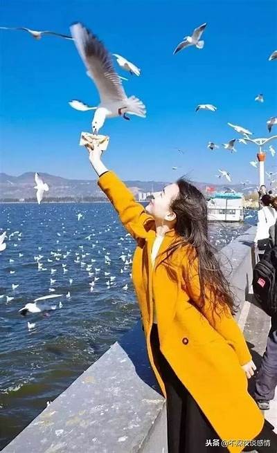 探索生活中的甜蜜瞬间：糖心Vlog精彩分享