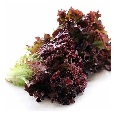 福利糖心在线观看：高清正版免费观看，剧情精彩不容错过！