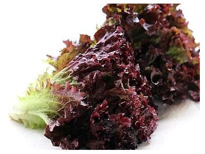 在线观看糖心视频资源，高清内容尽在掌握！